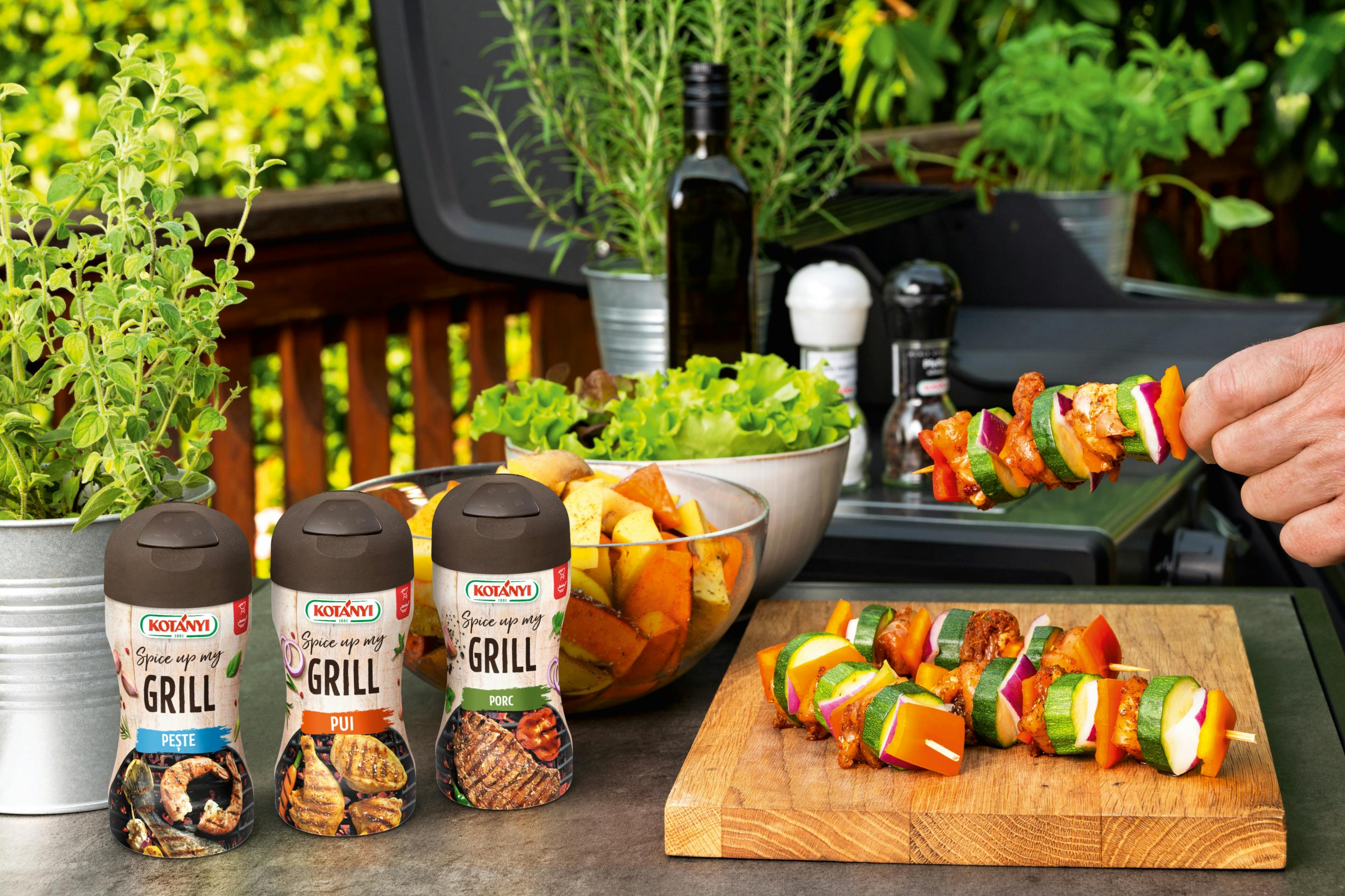 Moodbild Grill Skewers Ro